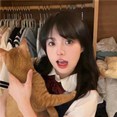 动物宝宝 在线观看